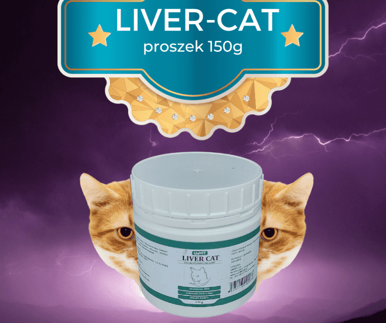 liver cat